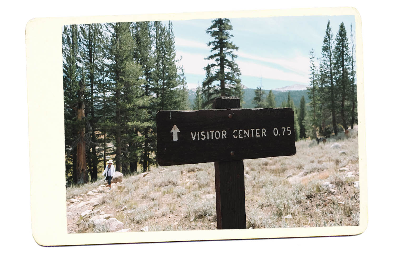 visitor center yosemite