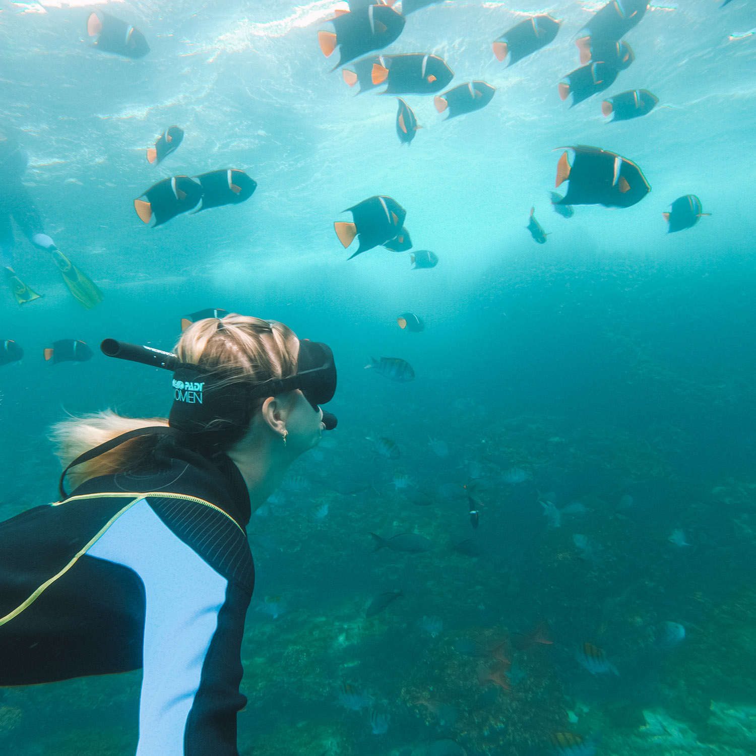 scuba diving snorkeling galapagos island