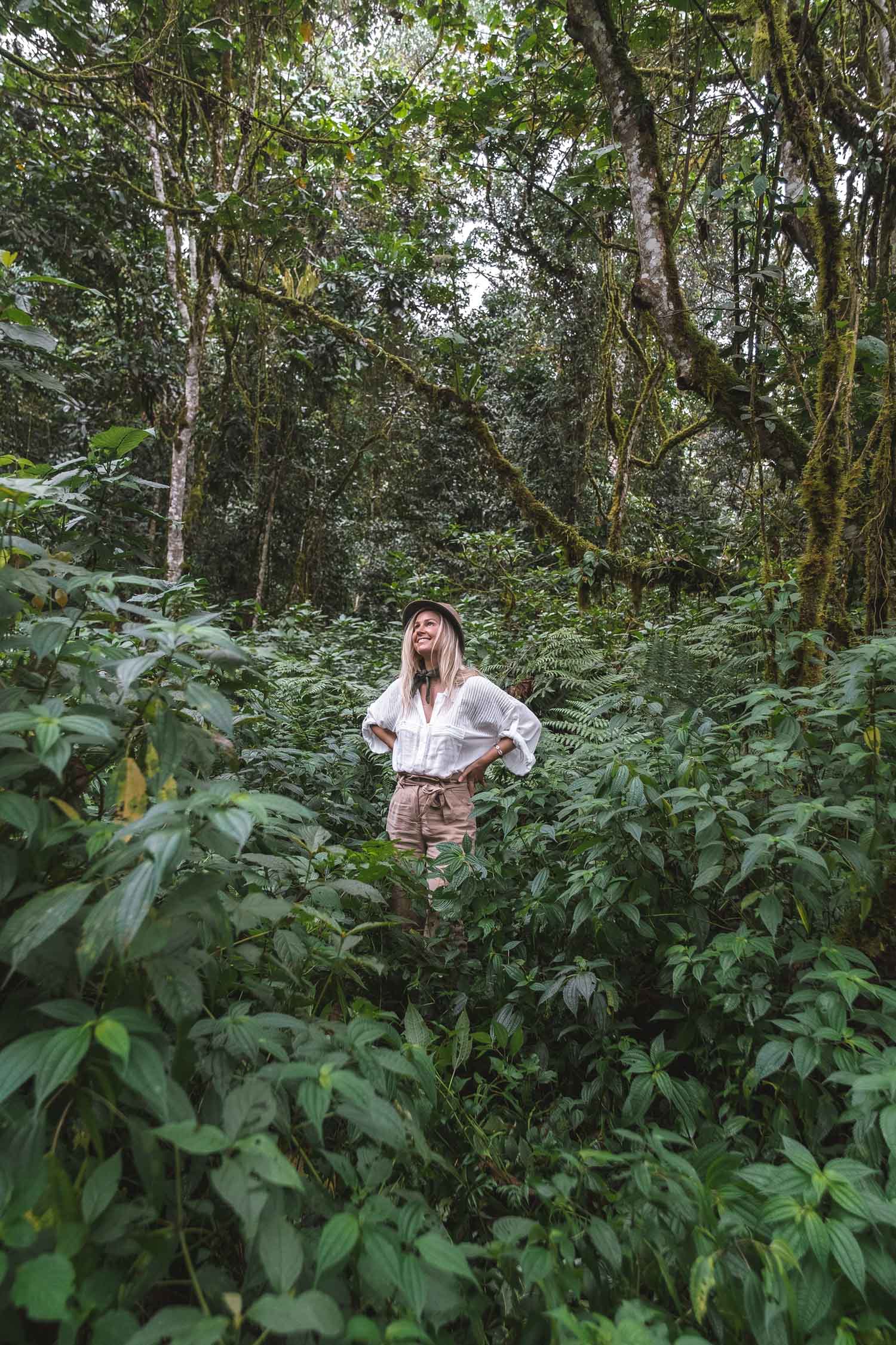 gorilla trekking uganda