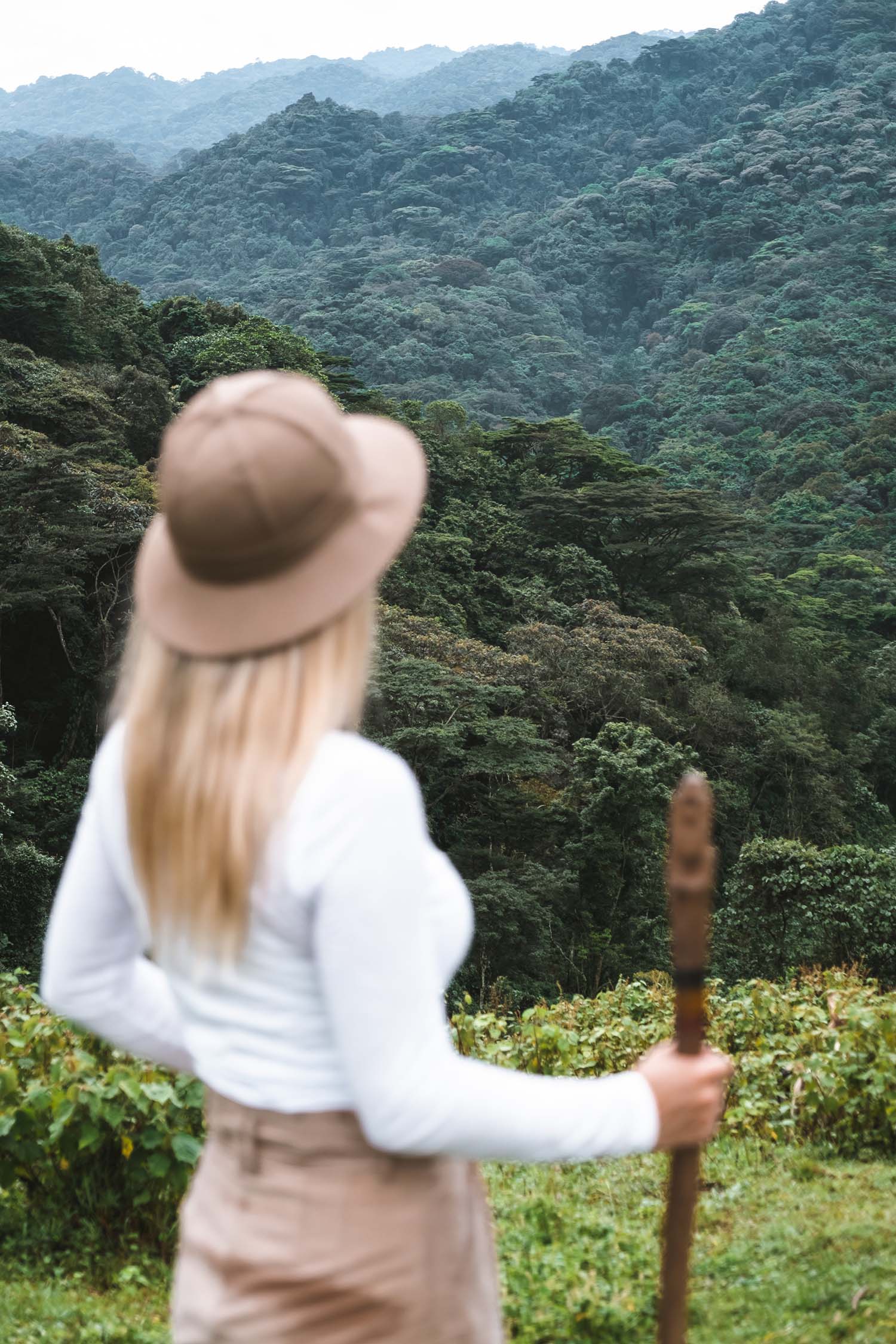 gorilla trekking uganda