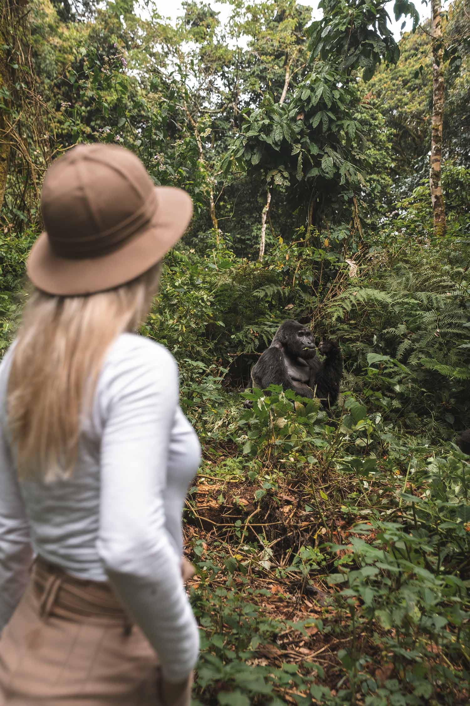 gorilla trekking uganda