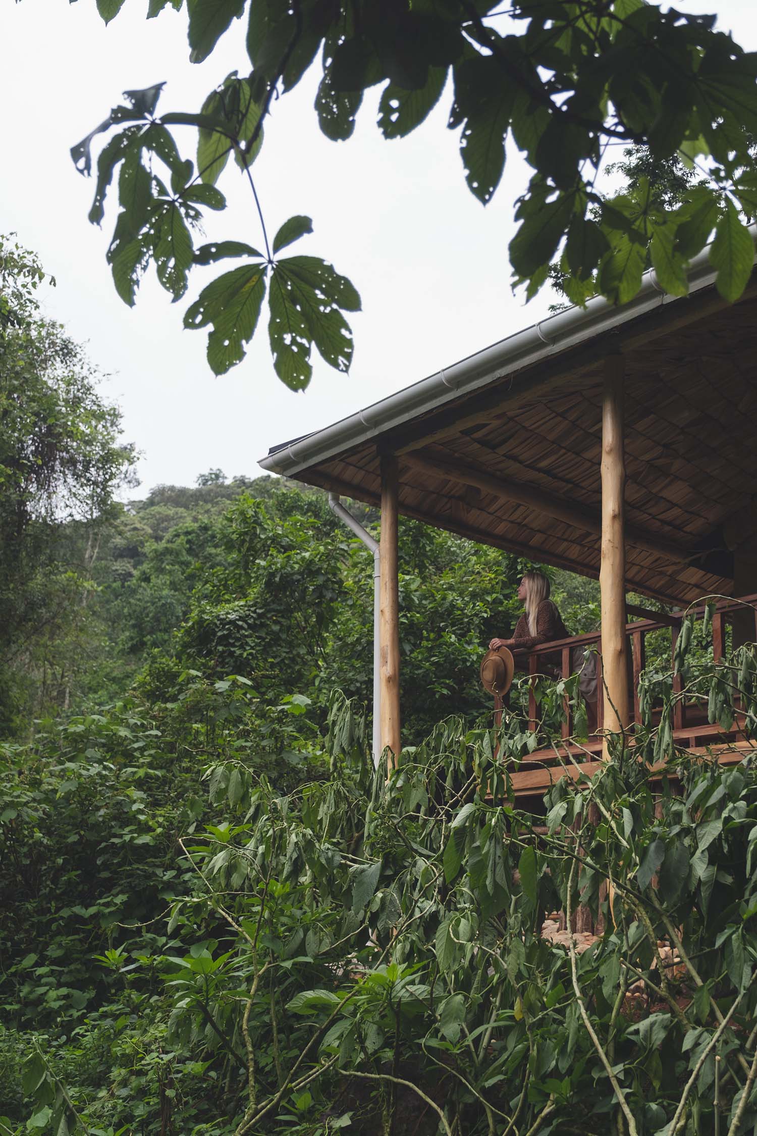 gorilla trekking uganda