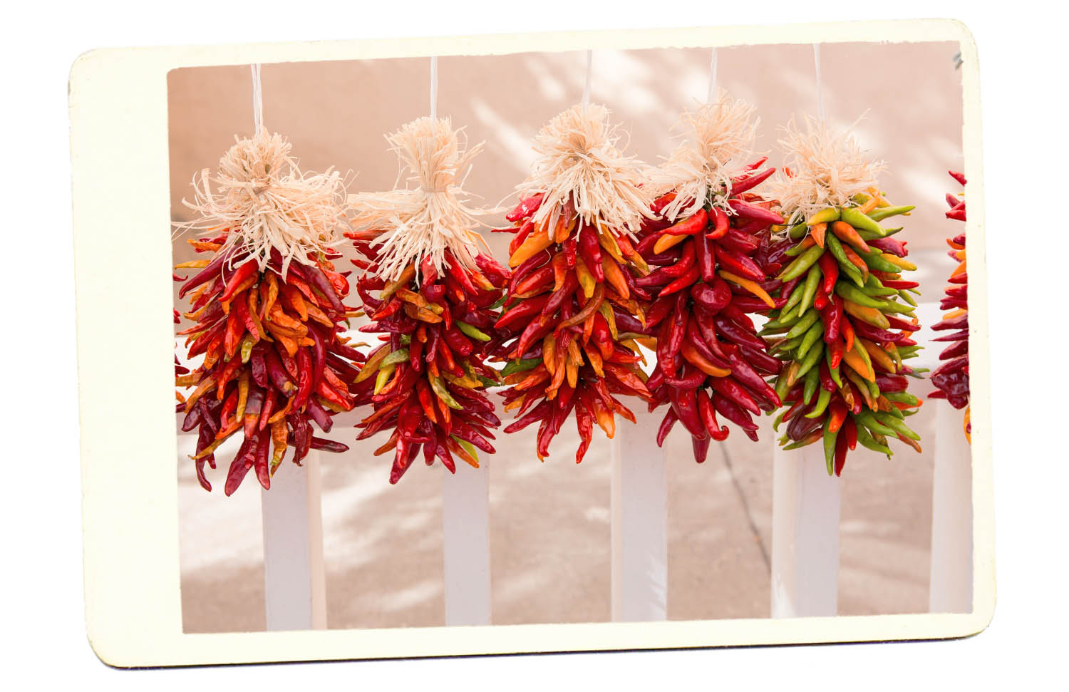 Drying Chili Peppers Santa Fe New Mexico