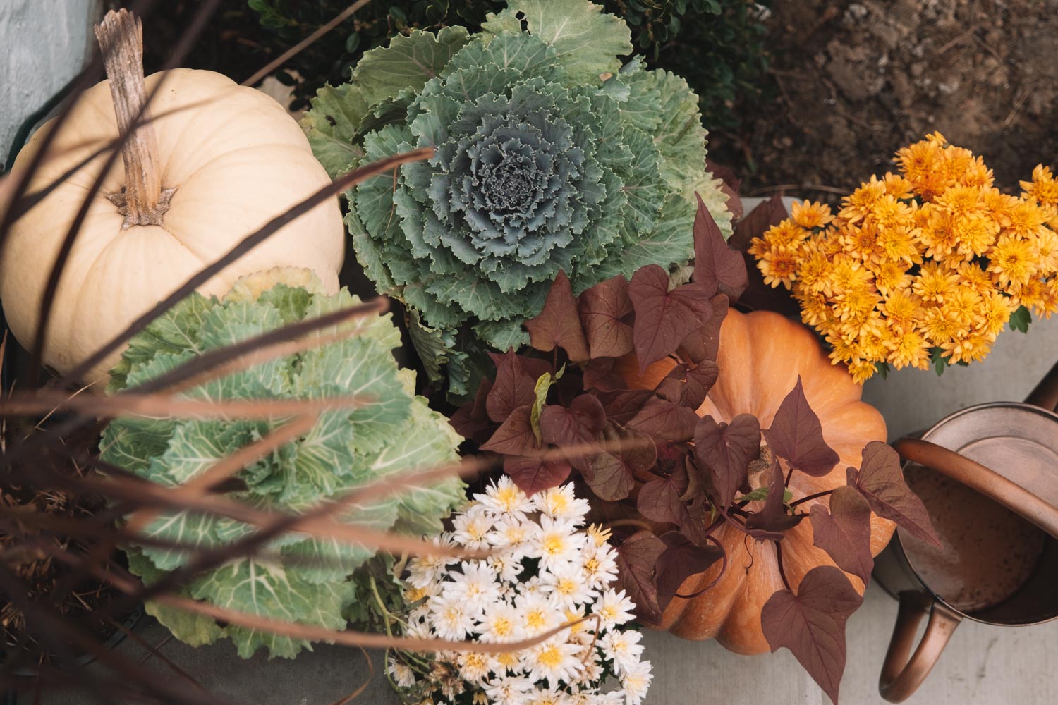 Fall Garden Foliage