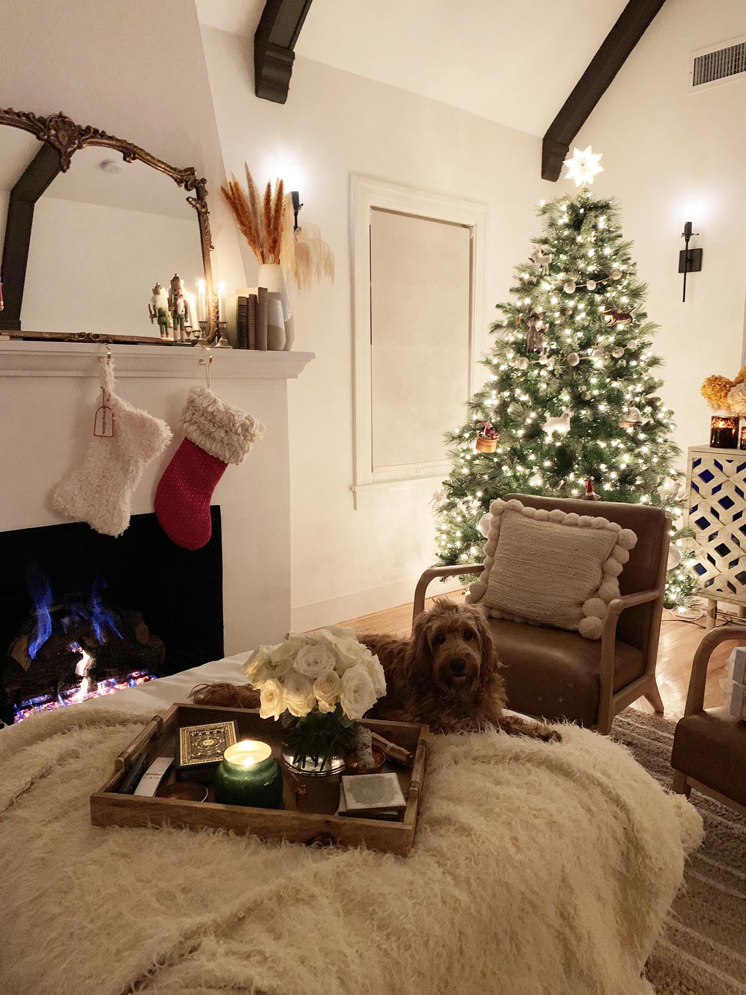 christmas dog holiday decor