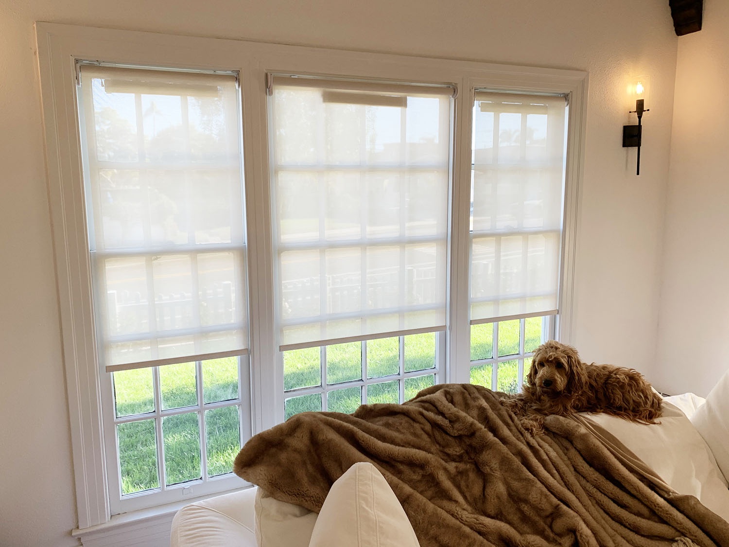 smart home blinds